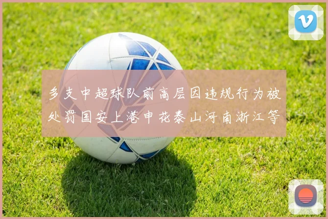 多支中超球队前高层因违规行为被处罚国安上港申花泰山河南浙江等队受影响