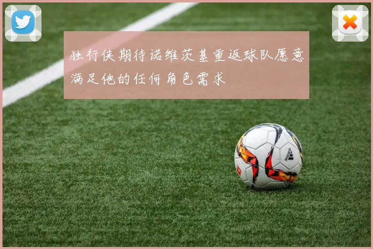 独行侠期待诺维茨基重返球队愿意满足他的任何角色需求